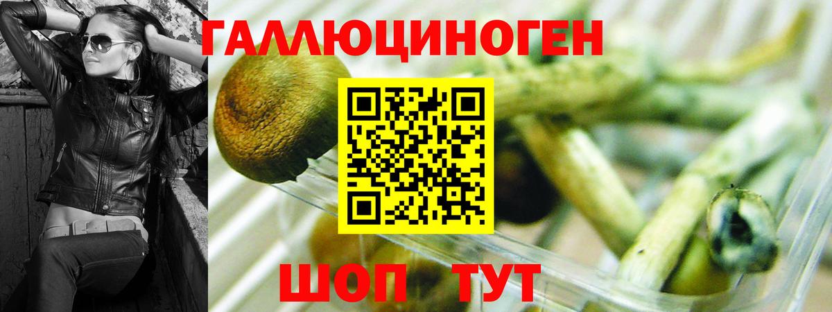 Псилоцибиновые грибы мицелий Мичуринск