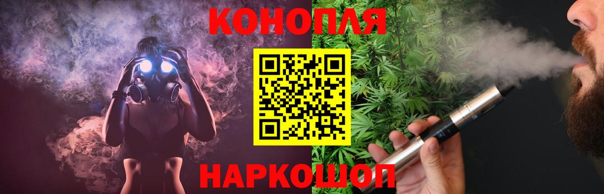 Конопля сатива Мичуринск
